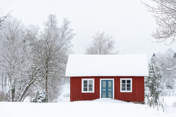 Red House in Scandinavian Winter Landscape
