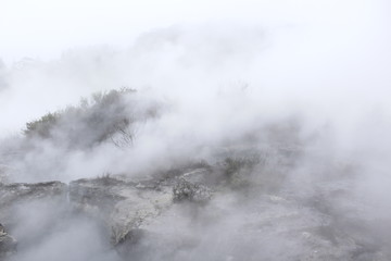 Sulphurean gas on geothermical land of Rotorua, New Zealand, North Island