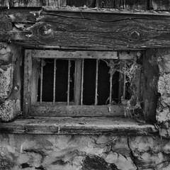 Cellar window 