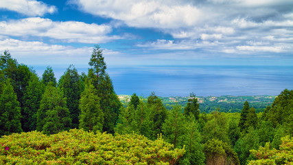 View from a hill to Atlantic Ocean and coastline of Sao Miguel island of Azores, Portugal, with green trees on foreground. 