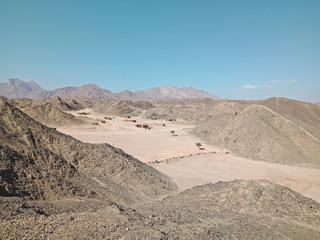 Fototapeta na wymiar Day in the mountain desert. Egypt