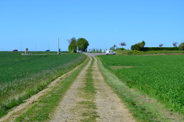 Fototapeta na wymiar Plaine de Caen (Région d'Evrecy - Normandie)