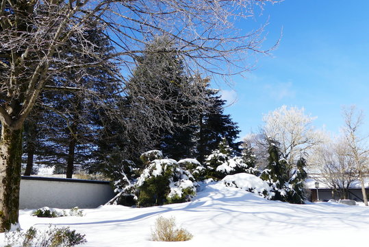 Wintergarten