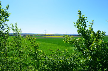 Plaine de Caen (Région d'Evrecy - Normandie)