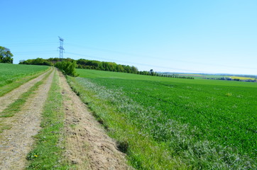 Fototapeta na wymiar Plaine de Caen (Région d'Evrecy - Normandie)