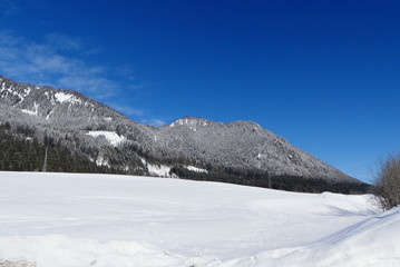 Winter in der Steiermark