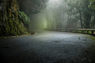 Road into the anaga laurel forest