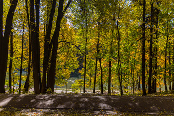 Autumn trees  in Tsaritsyno park