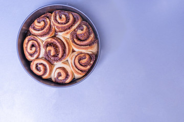 Cinnamon buns. Homemade cinnamon rolls.
