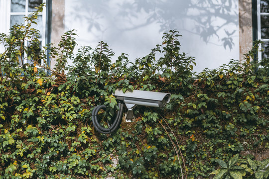 A modern surveillance video cam attached to the wall of a private property overgrown with greenery; a security video camera that monitors the safety of a country house behind the green fence - Powered by Adobe