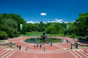 View of New York sky line from Central Park