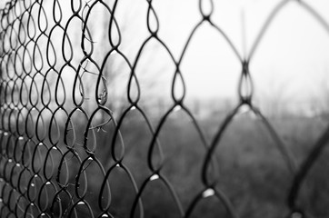 Wire mesh fence close-up texture
