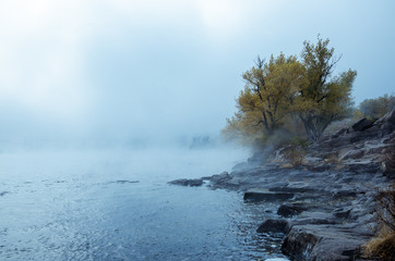 Misty morning river shore