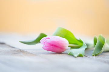 Pink tulips on rustic wooden table romantic background