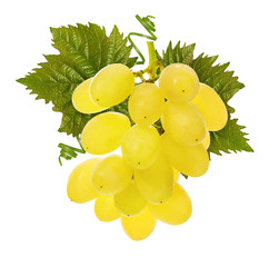 Fresh grapes isolated on white background with clipping pass