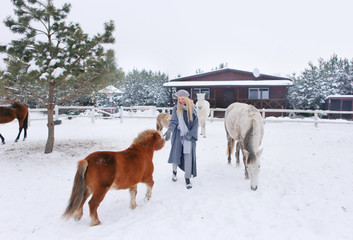 Fototapeta na wymiar Young happy smiling attractive blond woman with horse, overcast winter day