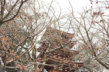 日本の寺の五重塔に雪が降り積もる