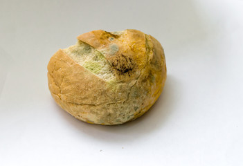Mold on food, bread, on a white background.