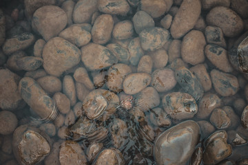 rocks in the water