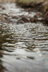 water on the river