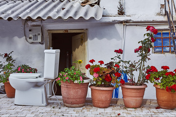 Fototapeta na wymiar Clay flower pots and toilet as concept of old chamber pots and modern toilet changes