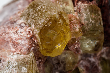 Macro mineral stone.Golden Apatite on a white background