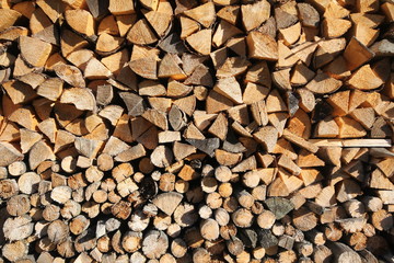 Closeup of logs of trees in nature. A lot of cutted logs, texture wood cut