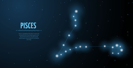 Pisces zodiac constellation vector sign with silhouette. Poster design with place for text