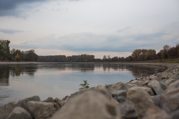 Der Rhein bei Altlussheim mit Niedrigwasser