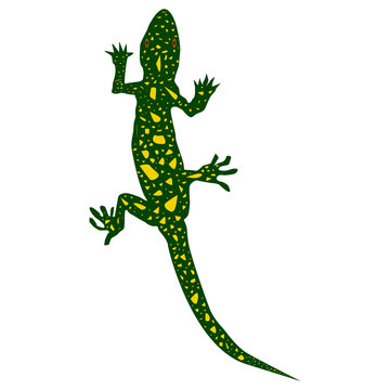 The little green lizard is walking. cartoon lizard eps10