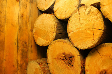 Naklejka premium background of the cut of trees