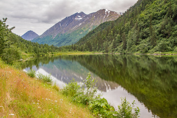 Naklejka na ściany i meble Mountains reflected in lake in Alaska, USA. Wildflowers in foreground, green mountains reflected in lake in mid-ground.