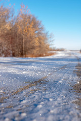 winter snow path