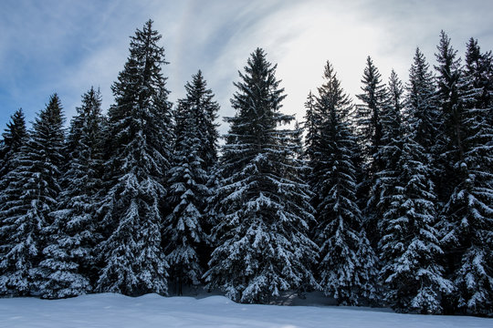 Mount Igman, Bosnia and Herzegovina
