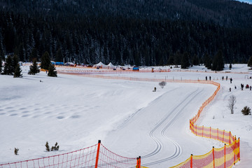Mount Igman, Bosnia and Herzegovina