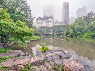 Central Park on a rainy, foggy day
