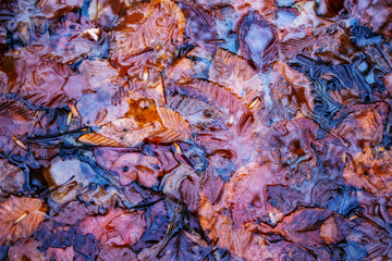 Brightly colored water