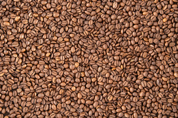 Roasted coffee beans