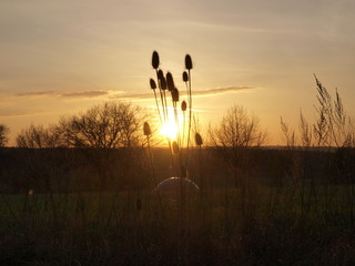 Sonnenuntergang