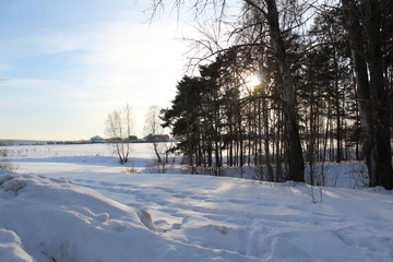 Fototapeta premium snowy road in winter
