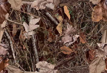 A Woodland Camouflage Pattern for hunting purposes - obrazy, fototapety, plakaty