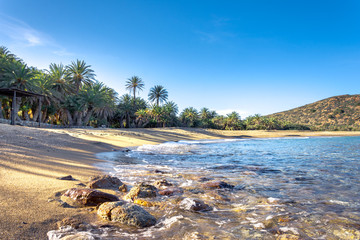 Scenic landscape of palm trees, turquoise water and tropical beach, Vai, Crete, Greece.