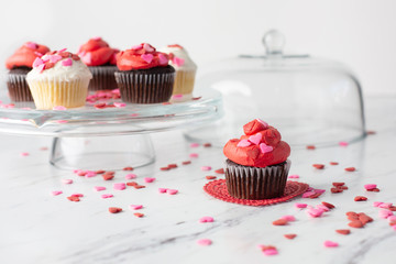 Chocolate and Vanilla Valentine Cupcakes on a Cake Plate with one Chocolate Cupcake Isolated in Front on Red Heart-Shaped Doily