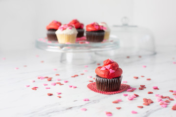 Chocolate and Vanilla Valentine Cupcakes on a Cake Plate with one Chocolate Cupcake Isolated in Front on Red Heart-Shaped Doily
