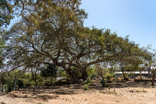 An ethiopian church found near Gorgora, Ethiopia in Africa