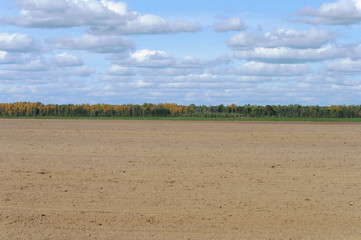 Fototapeta na wymiar Arable field on forest background
