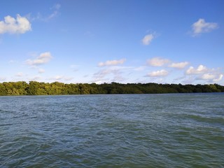 Rio - Estuário 