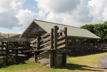 Old, wooden livestock loading chute with a covered holding pen behind. Tawharanui Regional Park, Auckland, New Zealand.