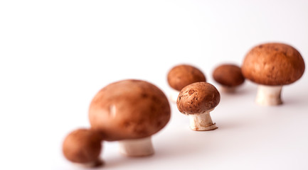 Champignon mushrooms with a brown cap