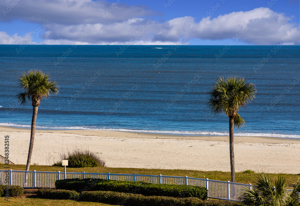 Poster Palm Trees at Beach